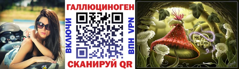 Галлюциногенные грибы Cubensis  kraken рабочий сайт  Шлиссельбург  где найти  